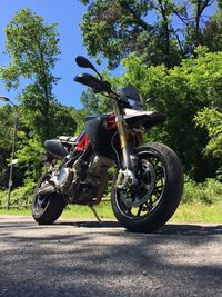 Motorcycle on road against trees