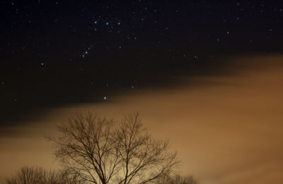 Low angle view of bare tree against sky at night