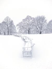 Bare trees on snow covered field