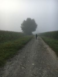 Rear view of person walking on road amidst field