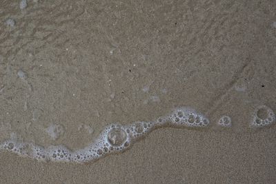 Full frame shot of sea shore