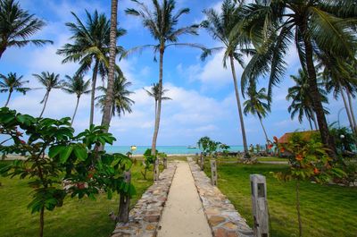 Scenic view of palm trees by sea against sky