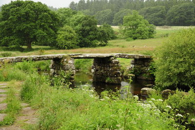 Arch bridge over lake amidst trees