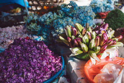 Close-up of flowering plant for sale in market