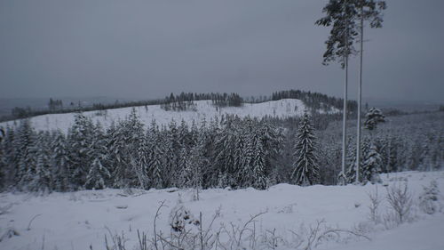 Scenic view of snow covered field against sky