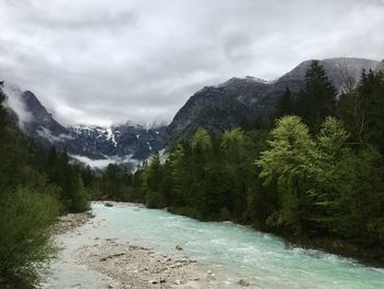 Scenic view of river amidst trees against sky