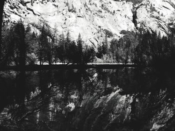 Scenic view of lake in forest