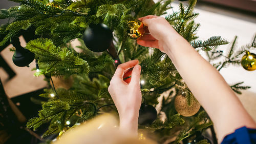 Cropped hands of woman holding christmas tree