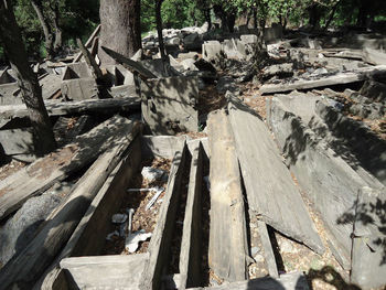 High angle view of logs in forest