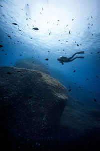 Scuba diver underwater