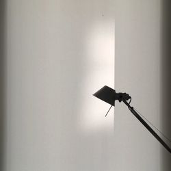 Low angle view of tree against sky