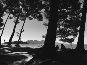 Silhouette trees in forest against sky