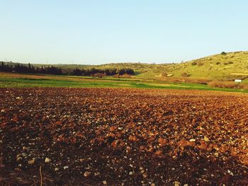 Scenic view of farm against clear sky