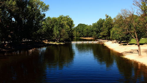 Scenic view of lake in forest against clear sky