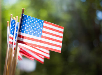Close-up of small american flags outdoors