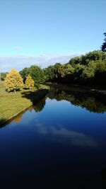 Reflection of trees in calm lake