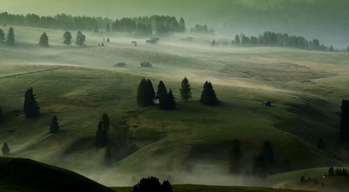 Scenic view of snowy field during foggy weather