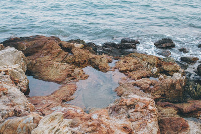 High angle view of rocks on beach