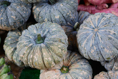 Full frame shot of pumpkin