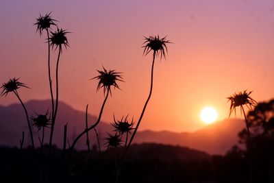 Silhouette palm trees against sky during sunset