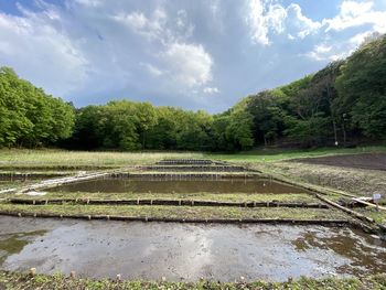 Scenic view of agricultural landscape against sky