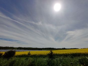 Scenic view of field against sky