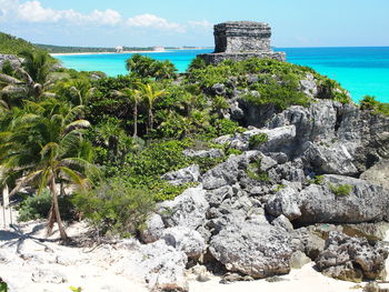 Plants on rocks by sea against sky