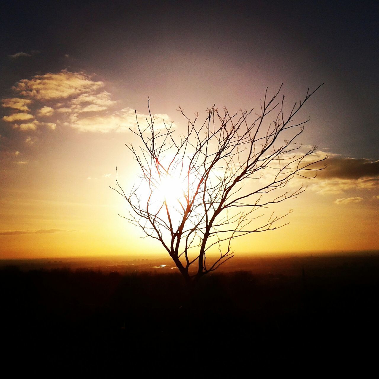 Werneth Low Country Park