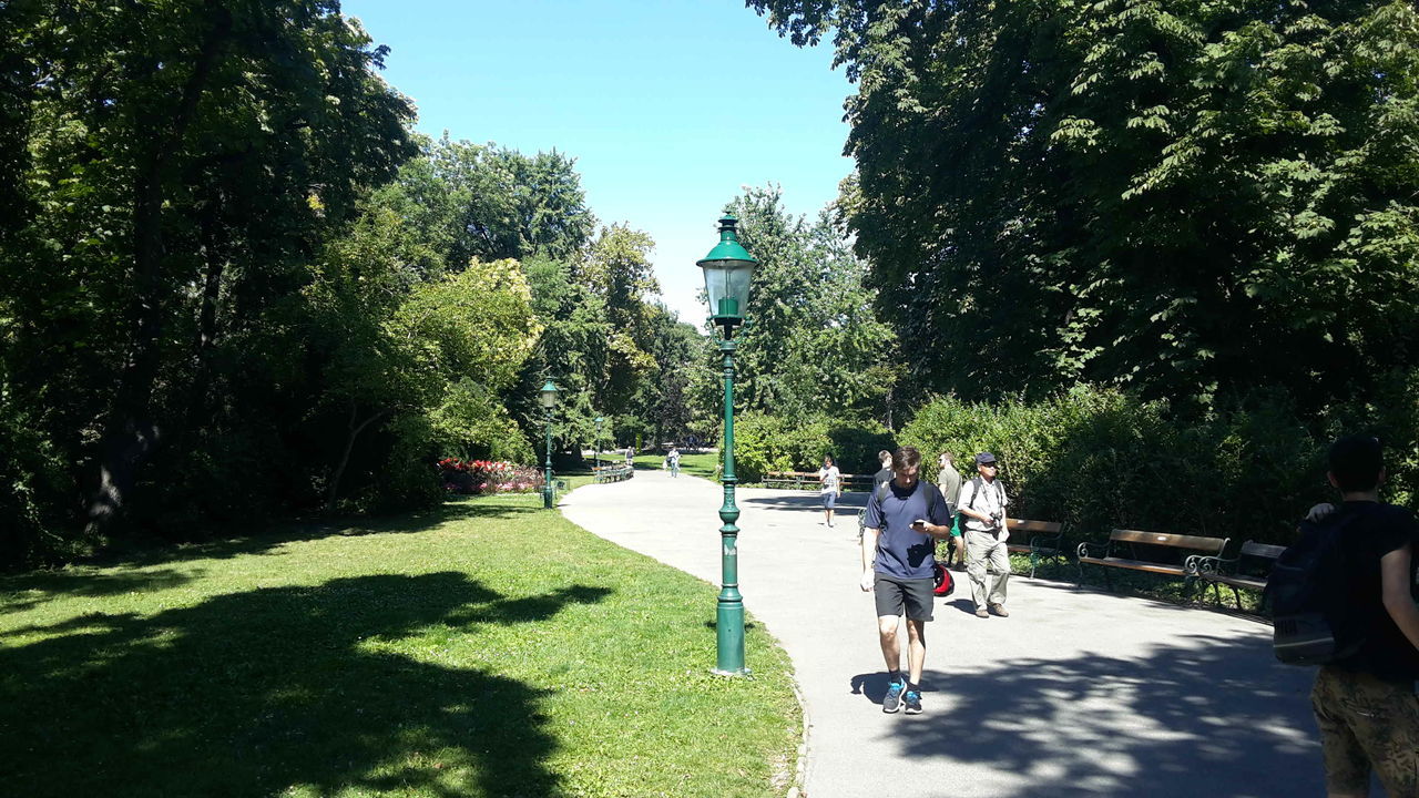 tree, sunlight, real people, green color, leisure activity, shadow, outdoors, nature, growth, day, sky, men, full length, women, beauty in nature, push scooter, people, adult, adults only