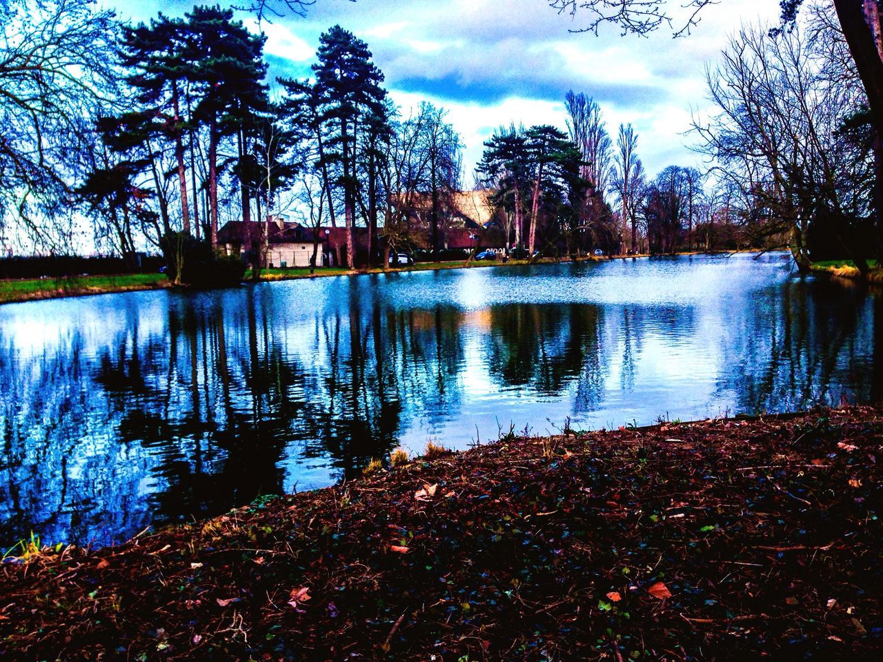 water, lake, tree, reflection, tranquility, tranquil scene, sky, scenics, beauty in nature, nature, cloud - sky, lakeshore, cloud, idyllic, calm, non-urban scene, growth, outdoors, river, day