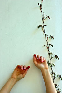 Close-up of woman hand against wall