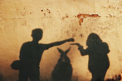 Shadow of friends gesturing on wall