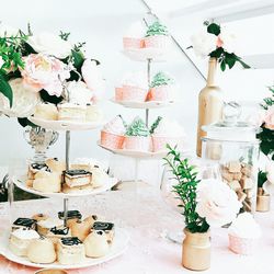 Potted plant on table