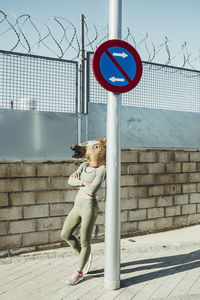 View of a dog on the road