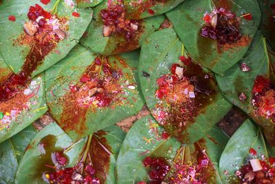 Full frame shot of red leaves