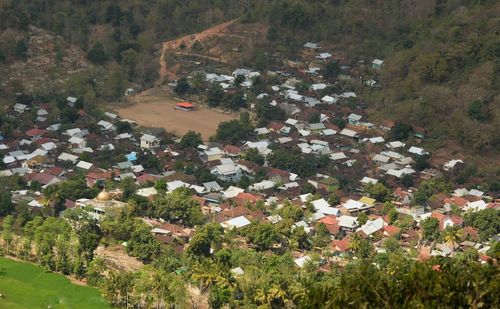 High angle view of trees and plants in city