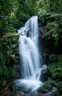 Scenic view of waterfall in forest