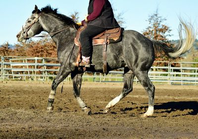 Person riding horse in field