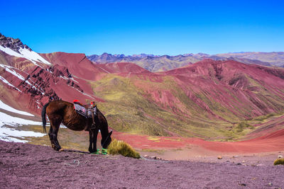 View of horse riding horses on mountain