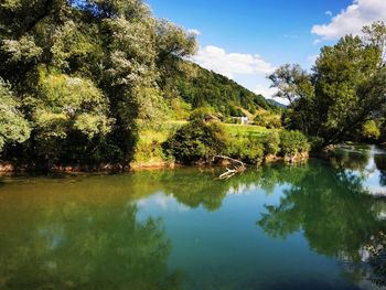 Scenic view of lake by trees against sky