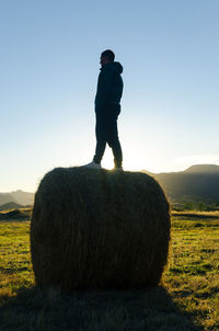 Back view of teenage man standing on straw bale on a meadow