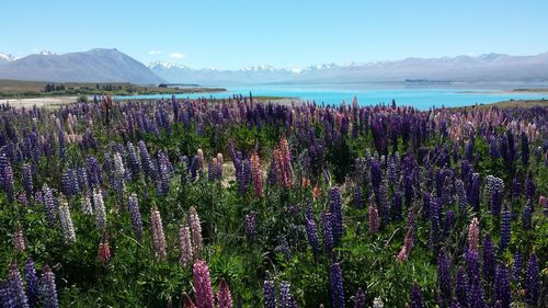 Scenic view of lake against mountain range