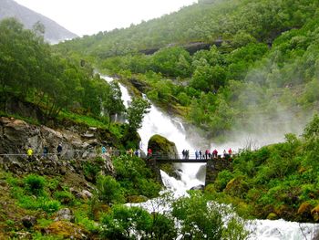 Scenic view of waterfall