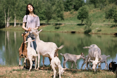 Girl feeds and plays with goats on a farm