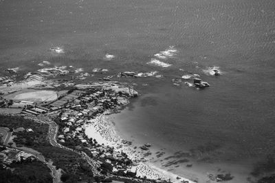 High angle view of sea and trees