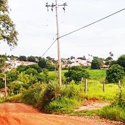 Empty road with trees in background