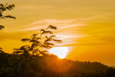 Silhouette trees against sky during sunset