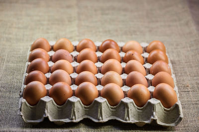 High angle view of eggs in container
