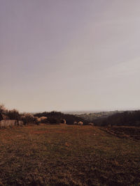 Scenic view of field against clear sky