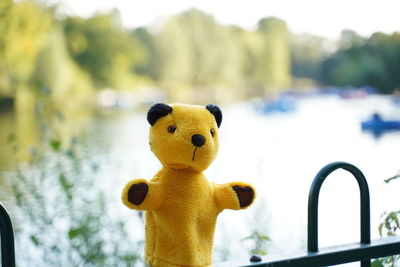 Close-up of stuffed toy